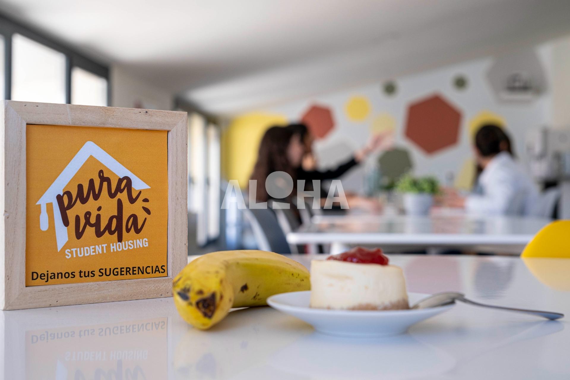 A0406-H30-5-Alquilar-Apartamento-Alfara-del-Pariarca-18