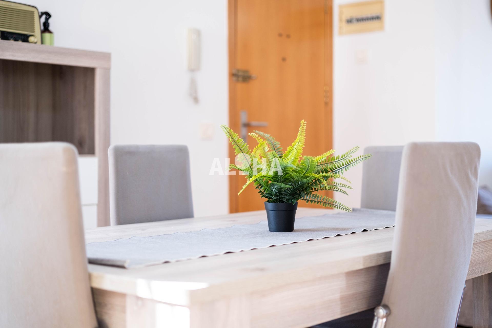 Apartamento MONCADA Moncada Apartamento MONCADA Moncada