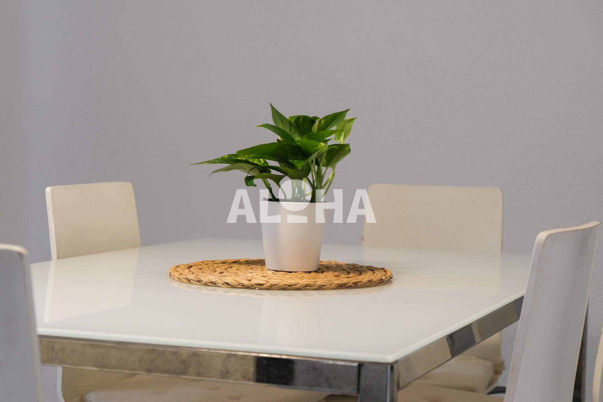 Apartamento calle Sagunto Moncada 7