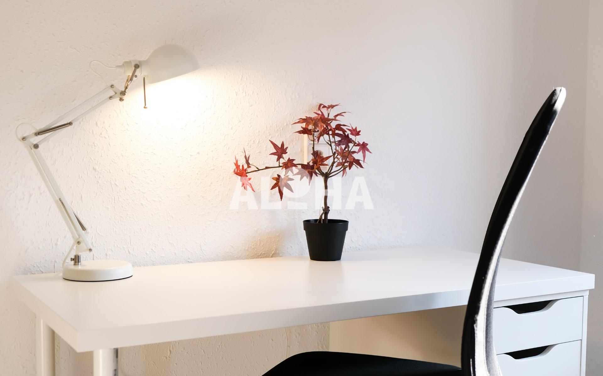 Habitación Centro Moncada