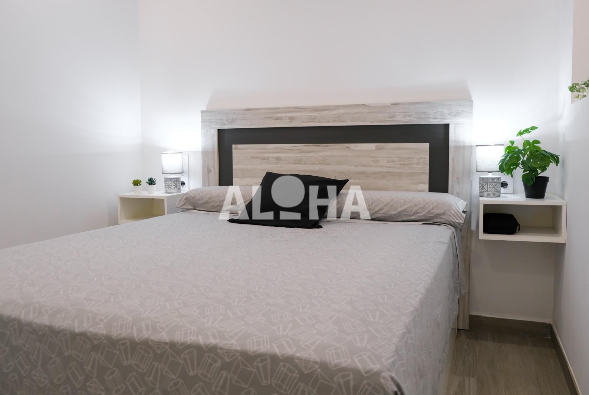 DISPONIBLE A PARTIR DE JULIO 2026. ESTUDIO ALQUILER PARA ESTUDIANTES UNIVERSITARIOS EN ALFARA DEL PATRIARCA