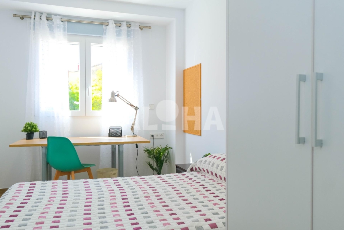 ESTUDIO DE ALQUILER PARA ESTUDIANTES. DISPONIBLE EN JULIO DE 2026.