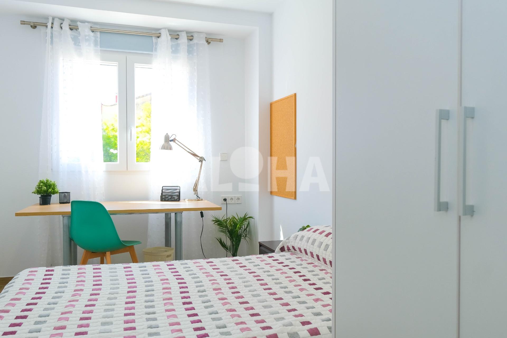 ESTUDIO DE ALQUILER PARA ESTUDIANTES. DISPONIBLE EN JULIO DE 2026.