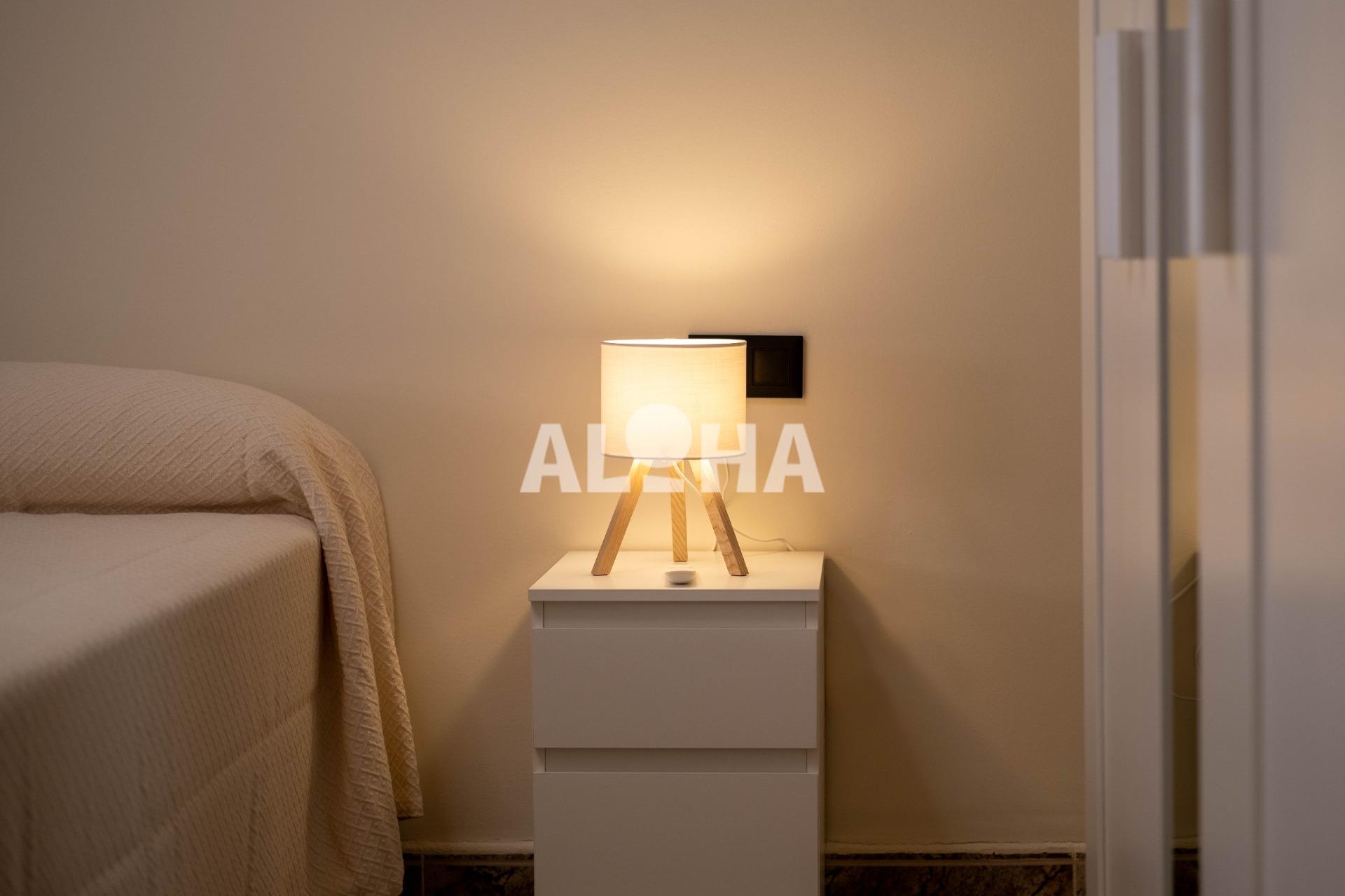 Apartamento 1 habitaciones en Alfara del Pariarca Alfara del Patriarca