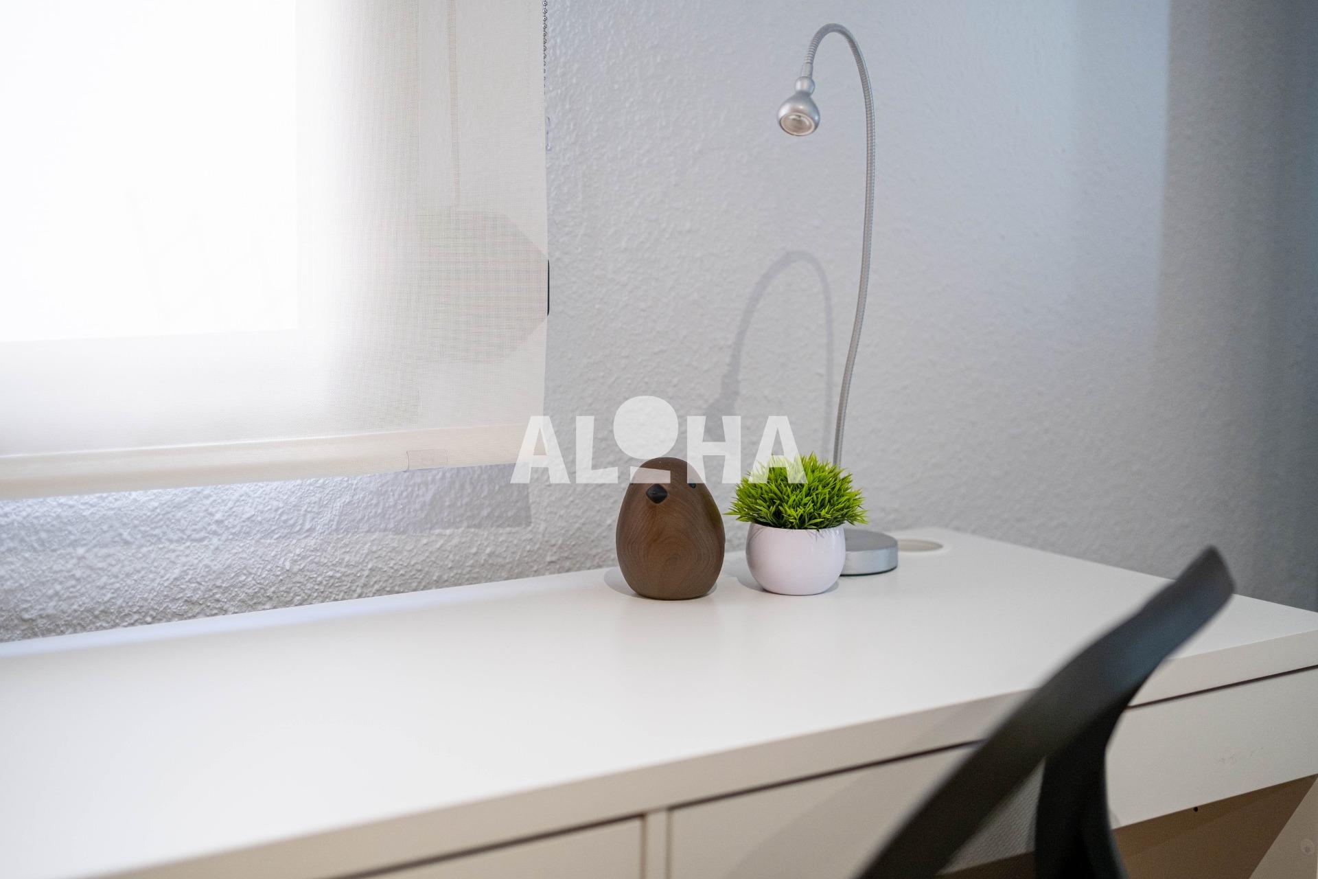 Apartamento Zona centro Moncada 6