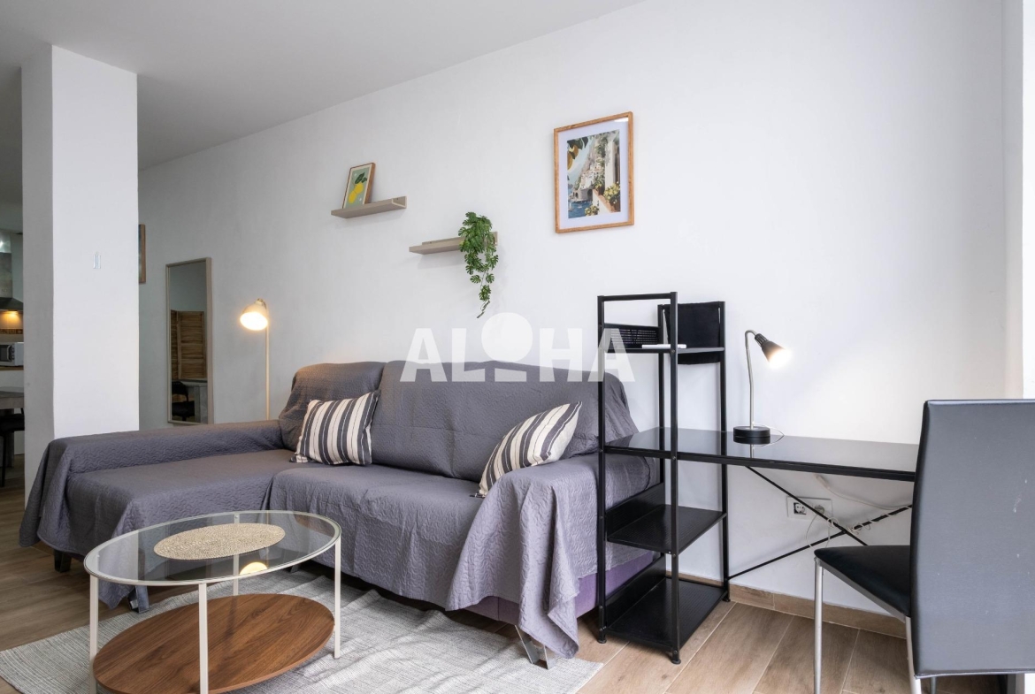 ALQUILER DE ESTUDIO PARA ESTUDIANTES UNIVERSITARIOS EN MONCADA.