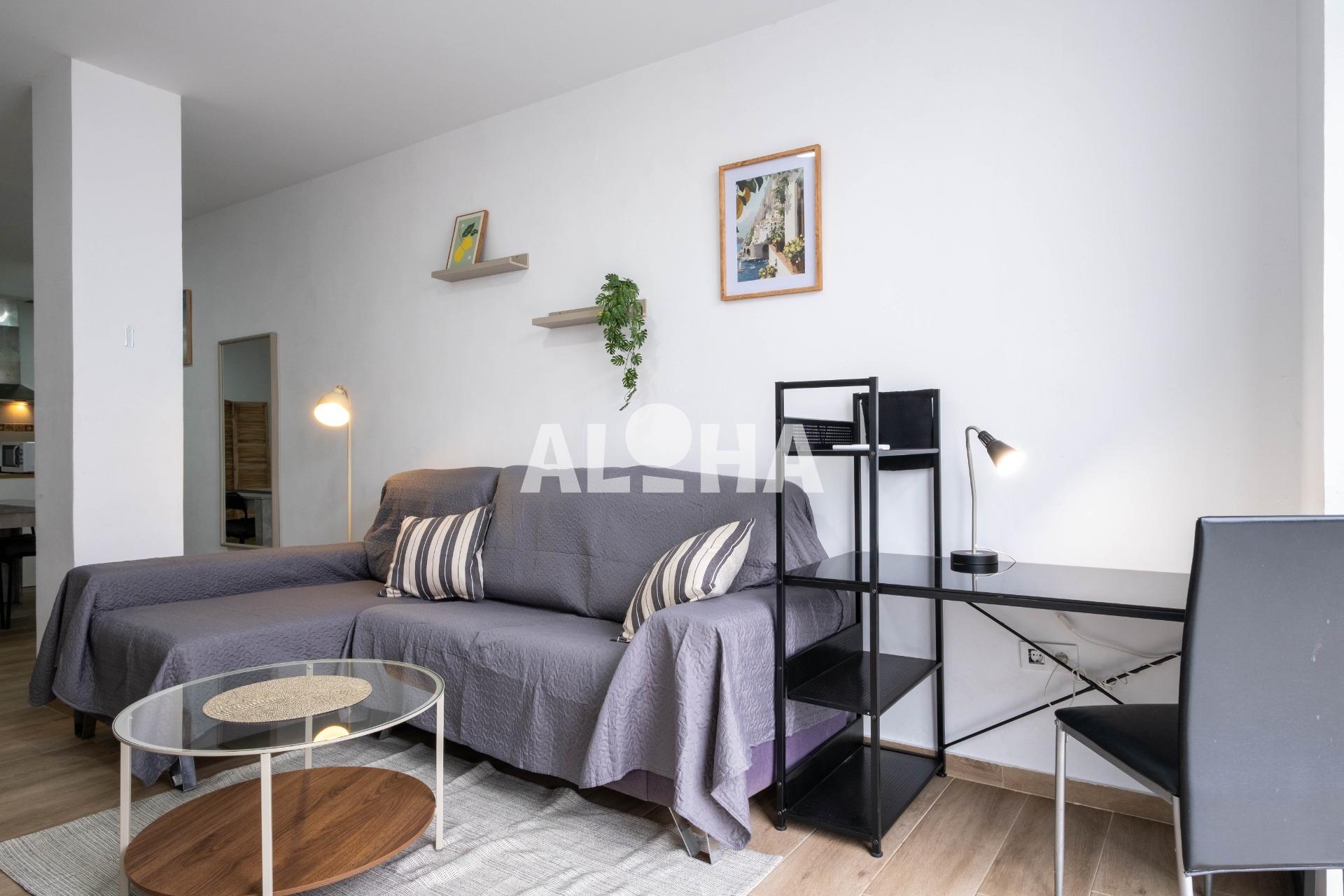 ALQUILER DE ESTUDIO PARA ESTUDIANTES UNIVERSITARIOS EN MONCADA.