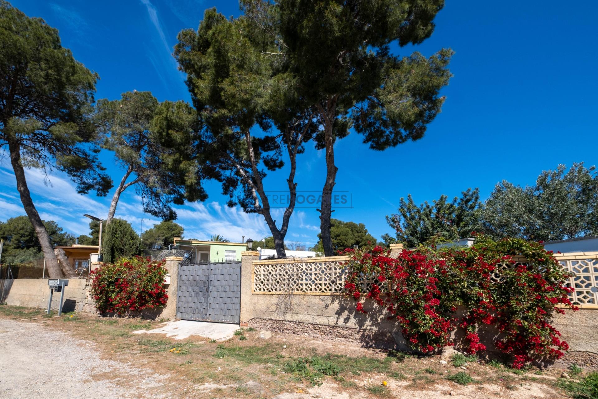 Comprar Chalet Camì Paterna-Lloma del Calderer Betera