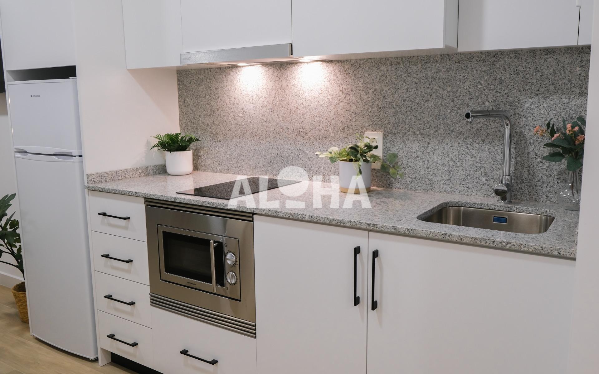 APARTAMENTOS  ALFARA. PARA ESTUDIANTES